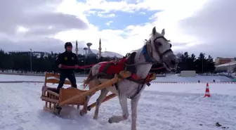 Erzurum'da Geleneksel Atlı Kızak Yarışları Heyecan Dolu Anlara Sahne Oldu