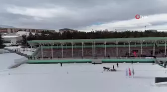 Erzurum'da Geleneksel Atlı Kızak Şöleni Coşkuyla Gerçekleştirildi