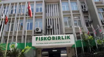 FİSKOBİRLİK'te Mali Kriz: Giresun Ziraat Odası Başkanı İddialarını Sıraladı