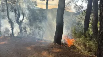 Fethiye'de Orman Yangını Hızla Kontrol Altına Alındı