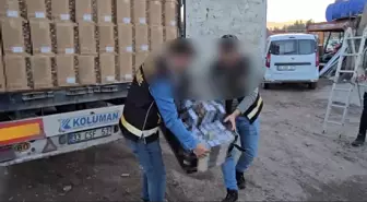 Osmaniye'de 44 Bin Paket Kaçak Sigara Ele Geçirildi