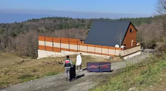 Sapanca'da Kardeşini Vuran Şüpheli Tutuklandı