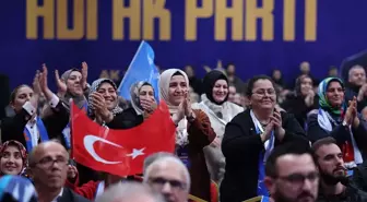 AK Parti İstanbul ilçe kongreleri tamamlandı