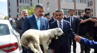 Erzurum'da Tarıma Dayalı Sanayiye 110 Milyon TL Yatırım Desteği