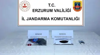 Erzurum'da Uyuşturucu Operasyonu: İki Şahıs Gözaltında