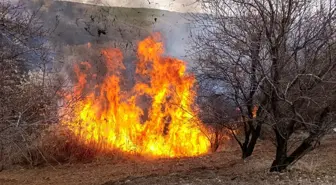 Tunceli'de Otluk Arazide Yangın Çıktı