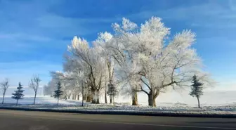 Erzurum'da Sibirya Soğukları Etkili Oluyor