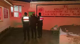 Giresun'da Jandarma Operasyonunda 23 Kişi Tutuklandı