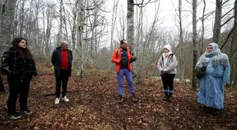 Sağlıklı yaşamak isteyenlerin yeni rotası 'orman banyosu'