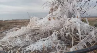 Şanlıurfa'da soğuk hava etkili oldu