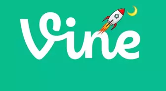 VINE coin nedir? İşte VINE ile ilgili her şey