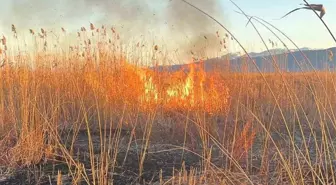 Eber Gölü'nde Yangın Çıkarmaya Çalışan Şahıs Yakalandı