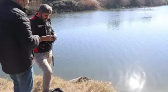 Adana'da Ceyhan Nehri'nde Balık Ölümleri İnceleniyor