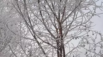 Doğu Anadolu'da Kar Yağışı ve Soğuk Hava Etkili