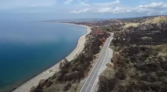 Tarihi Gelibolu Yarımadası'nda orman yangınları için 'güvenlik kuşakları' oluşturulacak