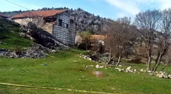 Antalya'da Çoban Köpeği Saldırısı: Aile Cezayı Az Buldu