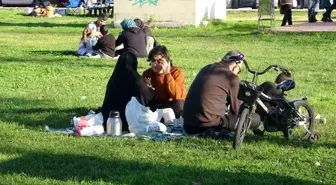 Sakarya'da Ocak Ayında Yazdan Kalma Günler