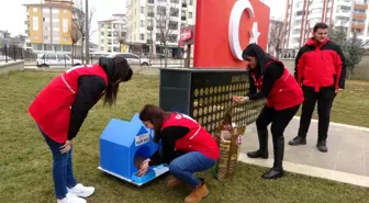 Türk Kızılay Kastamonu'dan Sokak Kedilerine Sıcak Yuvalar