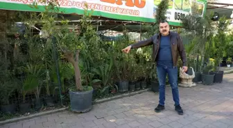 Adana'da Peyzajcıdan Fidan Hırsızlığı Gerçekleşti