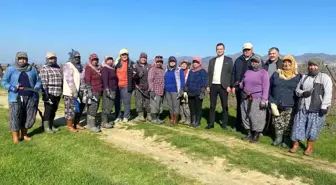 Kadınlar Bağ Budama İşinde Başarı Gösterdi