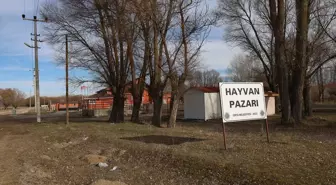 Çankırı'da Hayvan Pazarı Şap Hastalığı Nedeniyle Kapatıldı