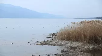 Sapanca Gölü'nün Korunması İçin Çalışma Başlatılıyor