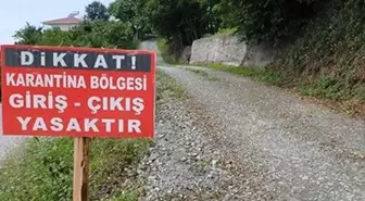 Tunceli'de şap hastalığı paniği: İlçede karantina uygulaması başladı