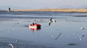 Konya, Göç Eden Kuşların Gözlem Merkezi Olmaya Devam Ediyor