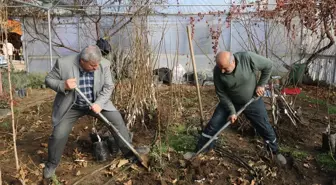 Emekli Ziraat Mühendisi Fındık Aşılayarak Ekonomi Sağlıyor