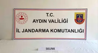 Aydın'da Uyuşturucu Kullanıcılarına Yönelik Operasyon