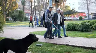 Samsun'daki Görme Engelli Bireylerin Sokak Sorunları