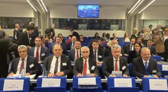 Anayasa Mahkemesi Başkanı Kadir Özkaya AİHM Adli Yılı Açılışında