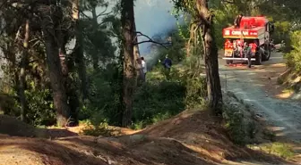 Hatay'da Ormanlık Alanda Çıkan Yangın Kontrol Altına Alındı