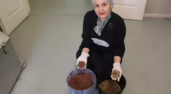 Gaziantepli Girişimci Meral Marangoz'dan Sürdürülebilir Kahve Üretimi