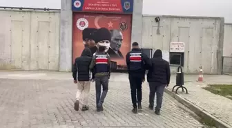 Akyazı'da Küçükbaş Hayvan Hırsızları Tutuklandı