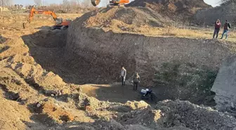 Kurtarılan 500 Kaplumbağa Doğaya Salındı