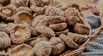 Shiitake mantarını eken yaşadı! Tanesi 17 bin liradan satılıyor