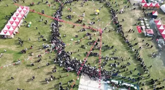 Tekirdağ'da 1. Hamsi ve Mıhlama Festivali Coşkuyla Gerçekleşti