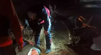 Van'da Trafik Kazası: 2 Ölü, 3 Yaralı