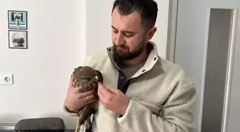 Hayvanseverin Duyarlılığı: Donmak Üzere Olan Atmaca Kurtarıldı