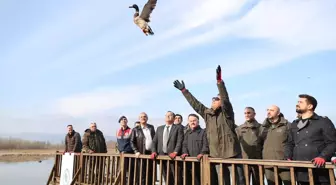 Efteni Gölü Havzası'nda Dünya Sulak Alanlar Günü Kutlandı