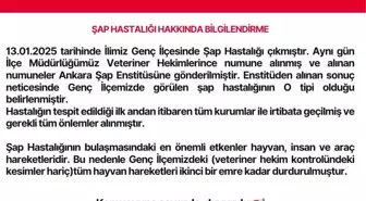 Bingöl'ün Genç İlçesinde Şap Hastalığı Nedeniyle 21 Günlük Karantina