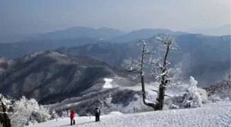 Tunceli okullar tatil mi? SON DAKİKA 4 Şubat Salı Tunceli'de okul yok mu (Tunceli Valiliği Açıklaması – KAR TATİLİ)?