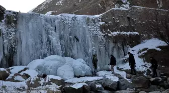 Muş'ta Çar Çayı Şelalesi Soğuk Hava Nedeniyle Dondu