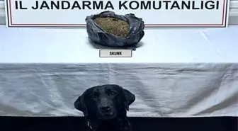 Düzce'de Uyuşturucu Operasyonu: 1 Kilogram Skunk Ele Geçirildi