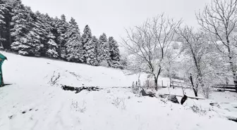 Samsun'un Yakakent İlçesinde Kar Yağışı