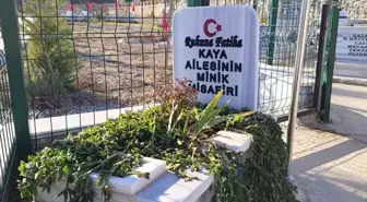 Aile mezarlığının minik misafiri