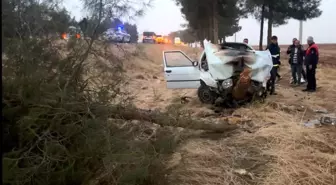 Şanlıurfa'da Otomobilin Ağaca Çarpması Sonucu 4 Yaralı