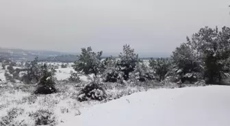 Sındırgı'da Kar Yağışı Sevinci