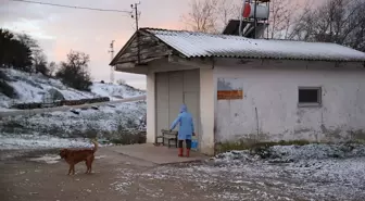 Edirne'nin Yüksek Kesimlerinde Kar Yağışı Etkili Oluyor